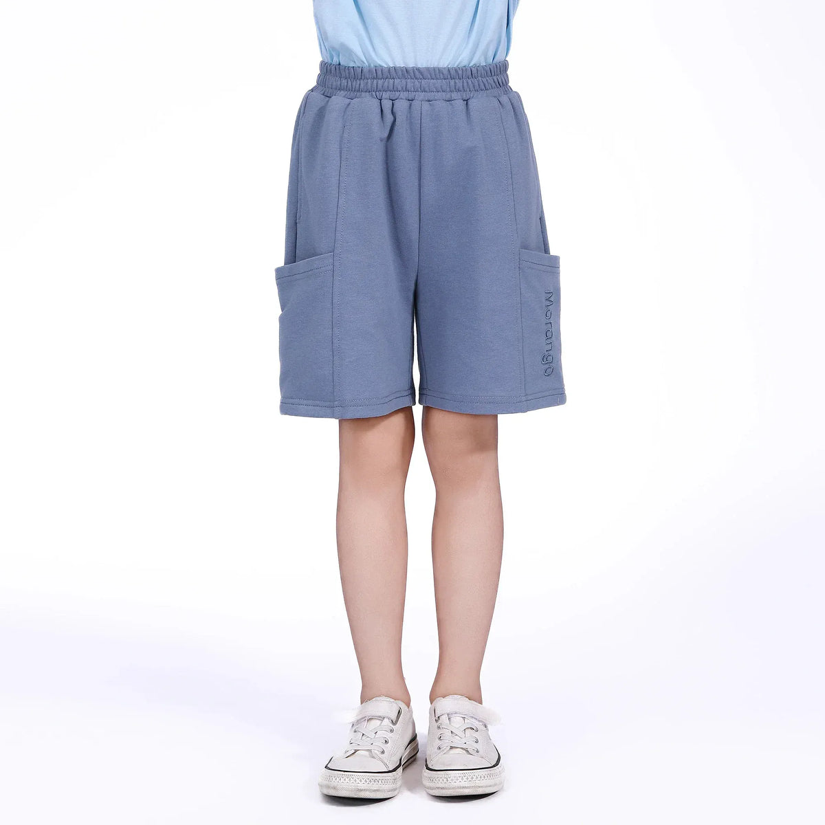 Grey Blue Embroidery Shorts for Boys Image