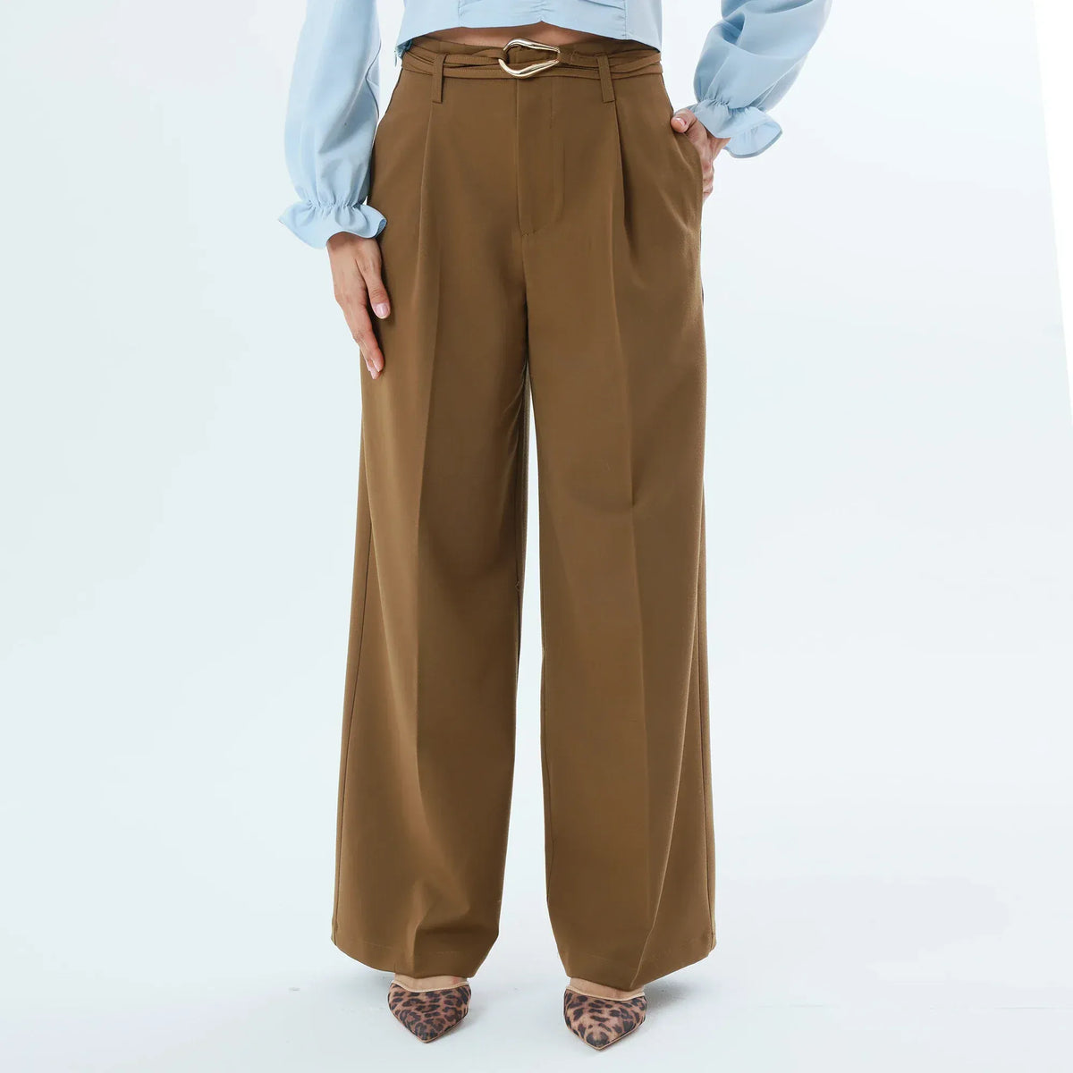 Brown Plain Fashion Pants For Women Image