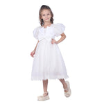 Laced Facny Dress for Girls Image