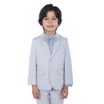 Light Grey Plain Formal Jacket For Boys Image