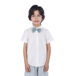 Plain Formal Shirt For Boys Image