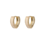 Free Gold Earrings for Women Image
