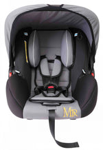 0 - 15M Gray Baby Car Seat Image