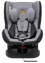 0 - 4Y Gray Baby Car Seat Image