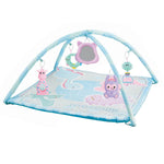 0M Blue Baby Playgym Set for Unisex Image