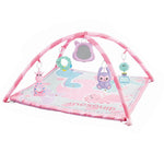 0M Pink Baby Playgym Set for Unisex Image