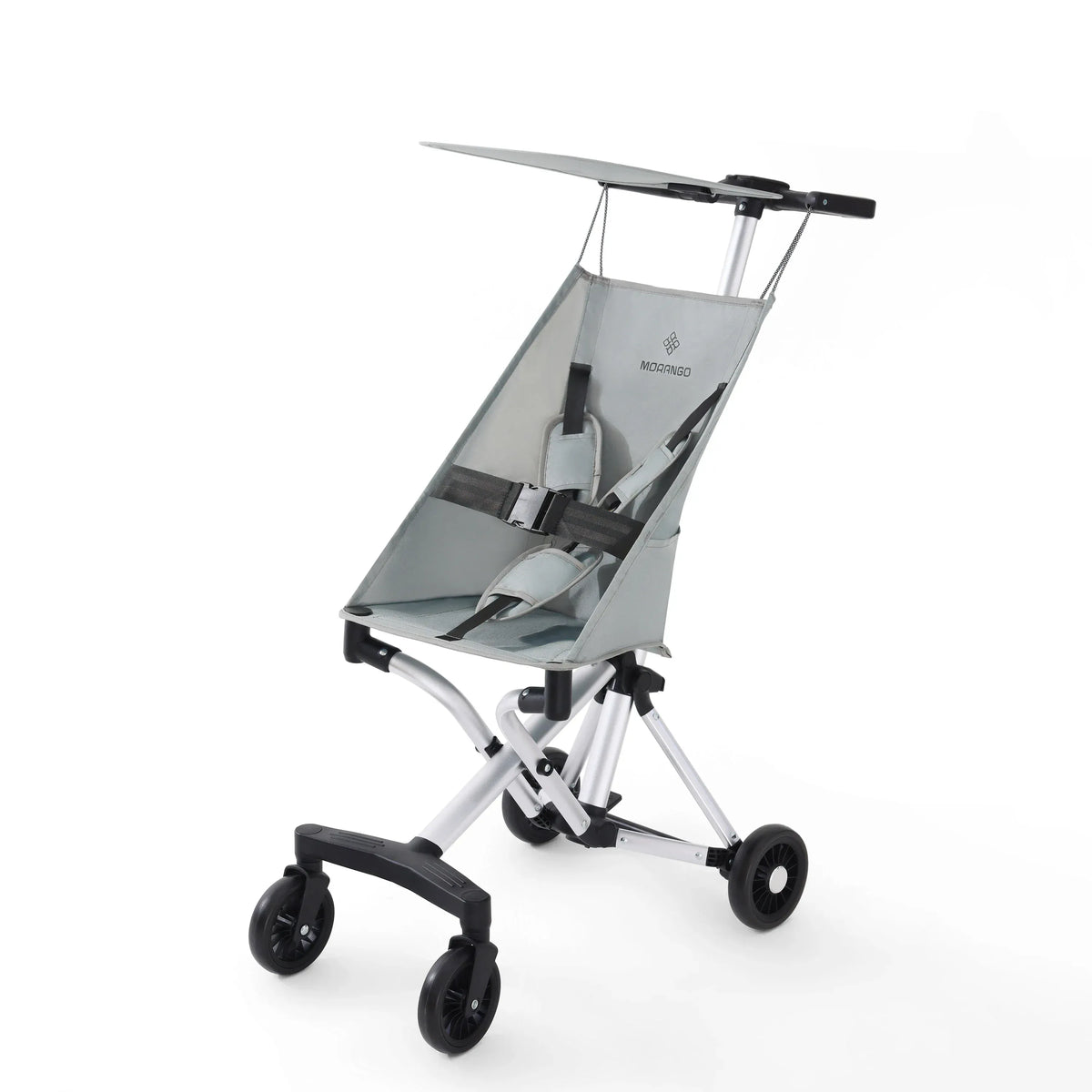 6M-3Y Grey Baby stroller Image