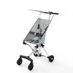 6M-3Y Grey Baby stroller Image