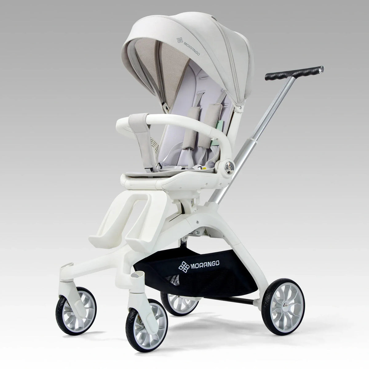 0-3M Grey Baby stroller Image