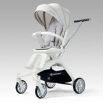 0-3M Grey Baby stroller Image
