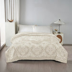 Free Reddish Brown 2Ply Cloud Blanket Image