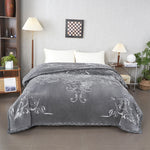 Free Gray 2Ply Cloud Blanket Image