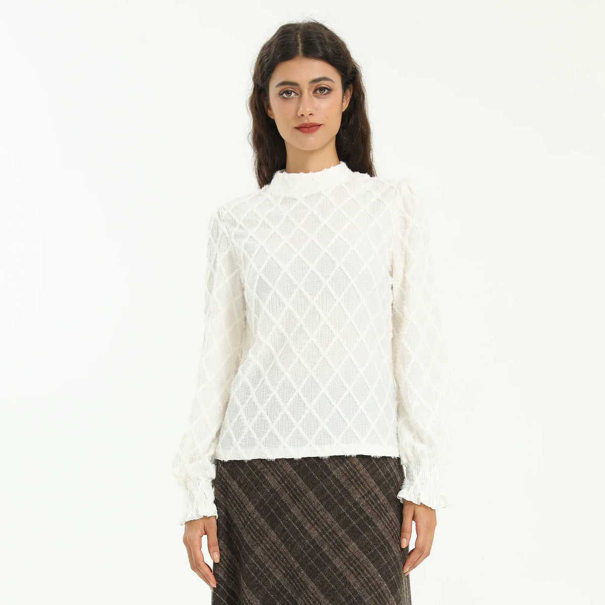 Beige Elegant Checked Blouse for Women Image