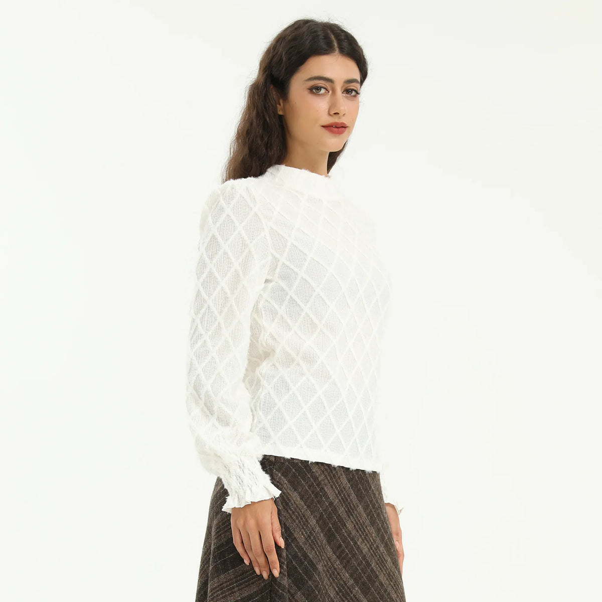Elegant Checked Blouse for Women Image