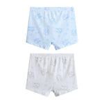 Printed Briefs-2Pc For Boys