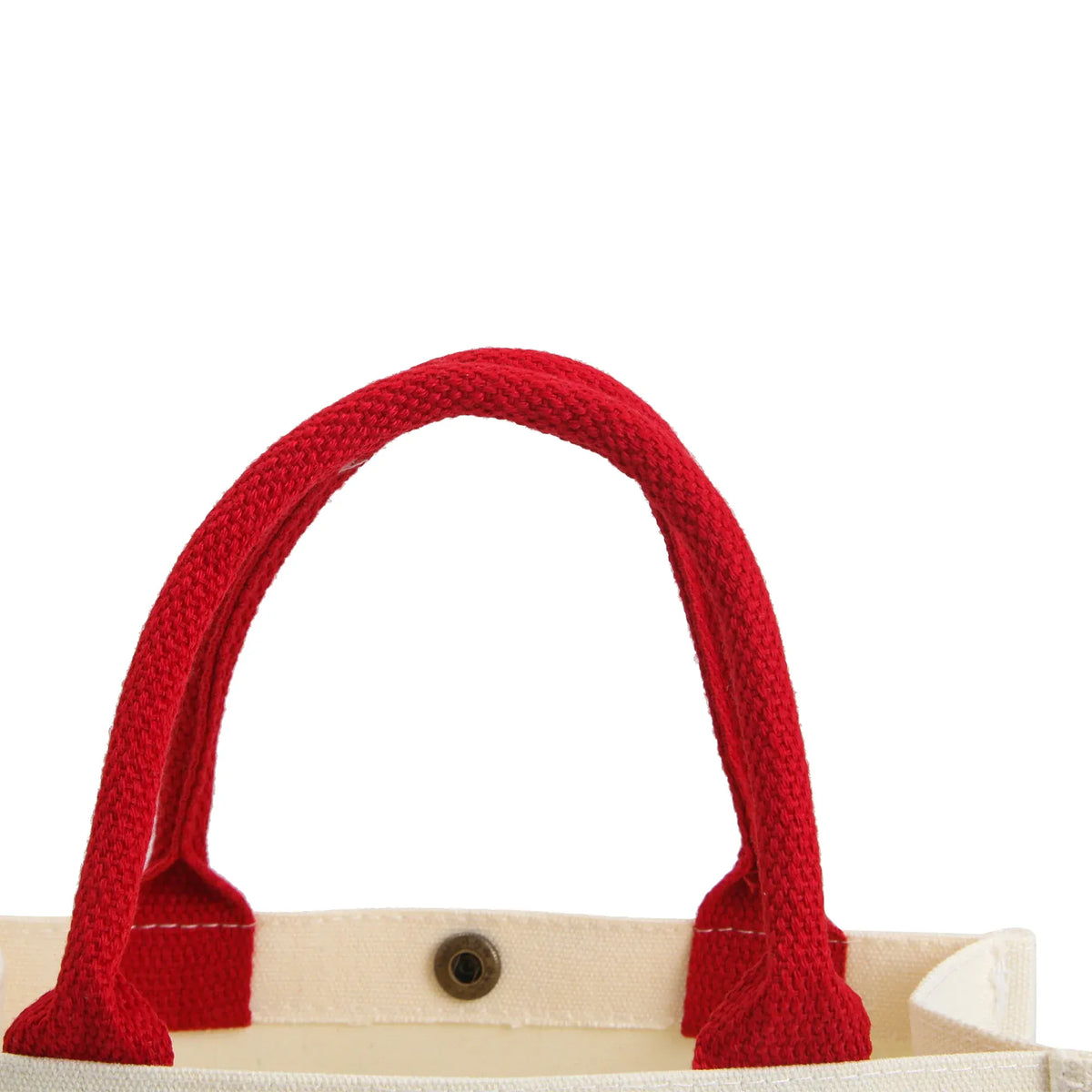 Carry Bag for Girls Image