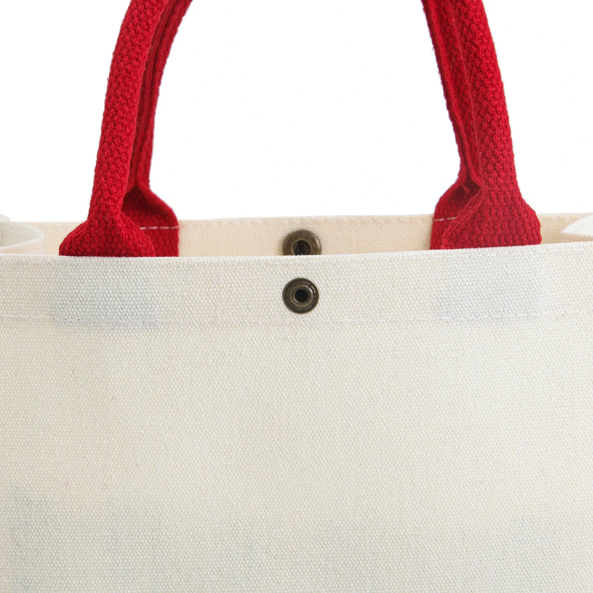 Carry Bag for Girls Image