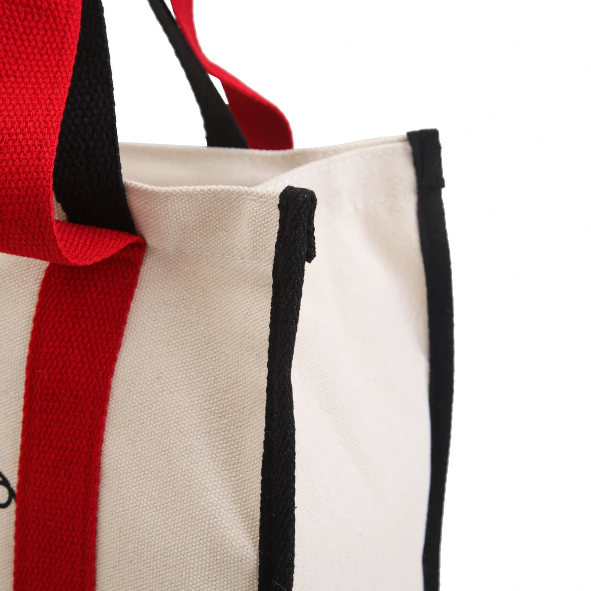 Carry Bag for Girls Image