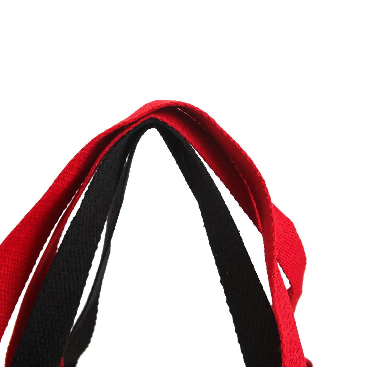 Carry Bag for Girls Image