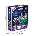 8Y Multicolor Crystal Planting -2PC for Unisex Image