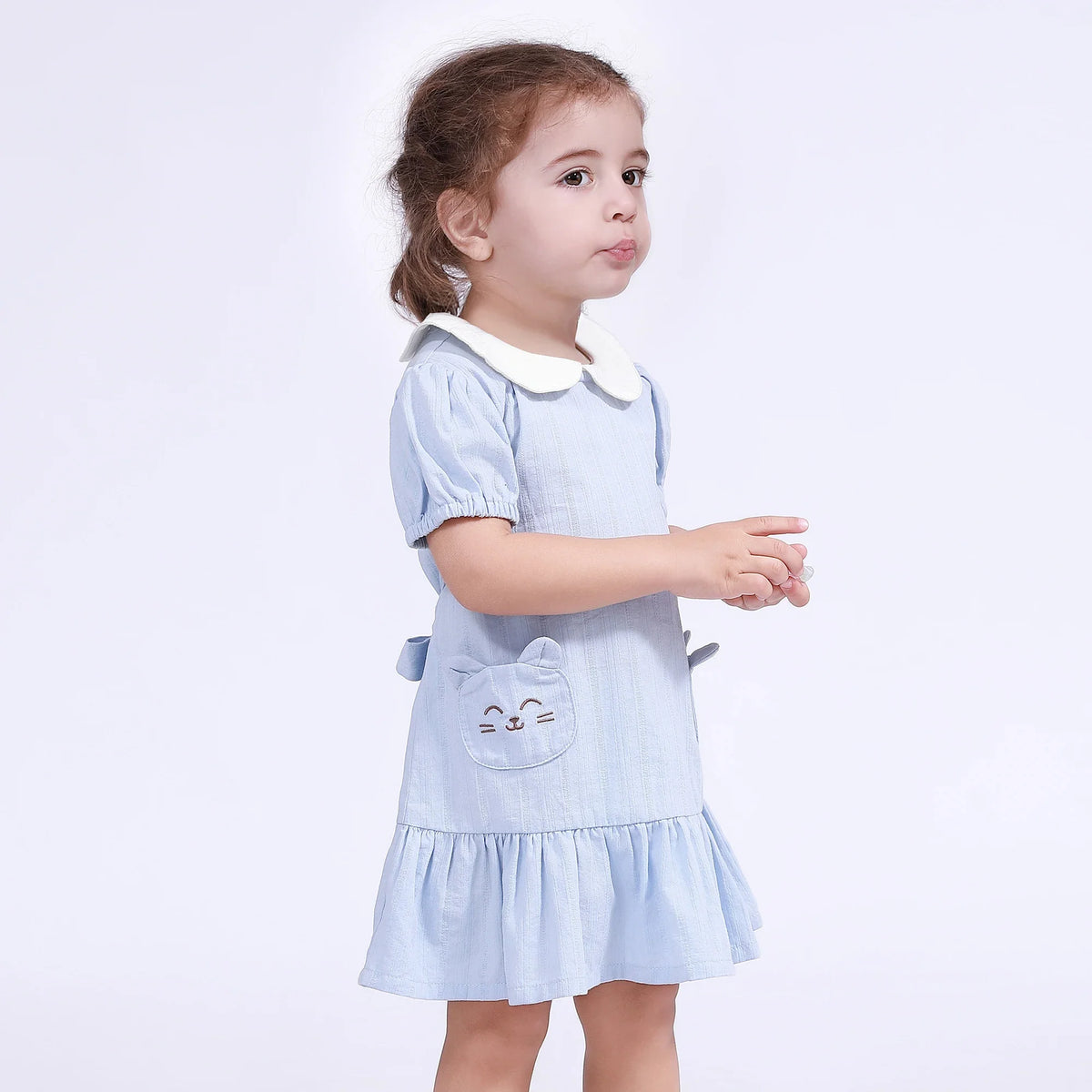 Embroidery Dress for Baby Girl Image