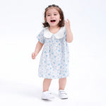Blue Floral Classic Dress for Baby Girl Image