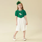 Embroidery Dress For Girls