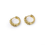 Earrings for Women Image