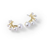 Earrings for Women Image
