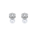 Free Silver Earrings for Women Image