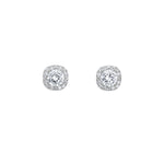 Free Silver Earrings for Women Image