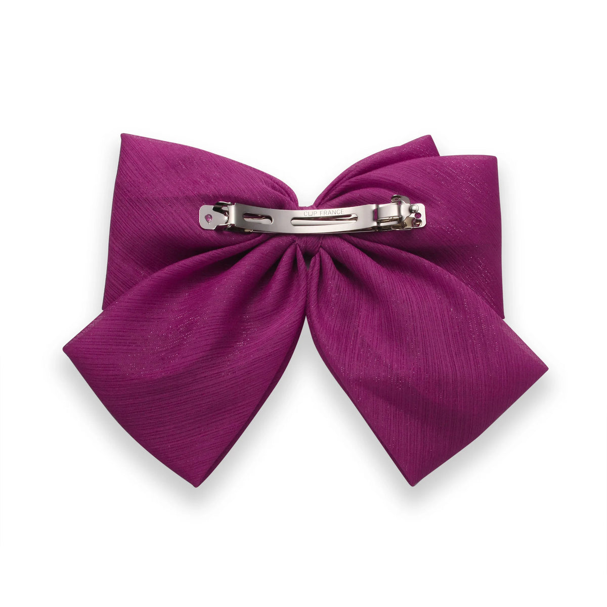 Hair Clip for Women Image