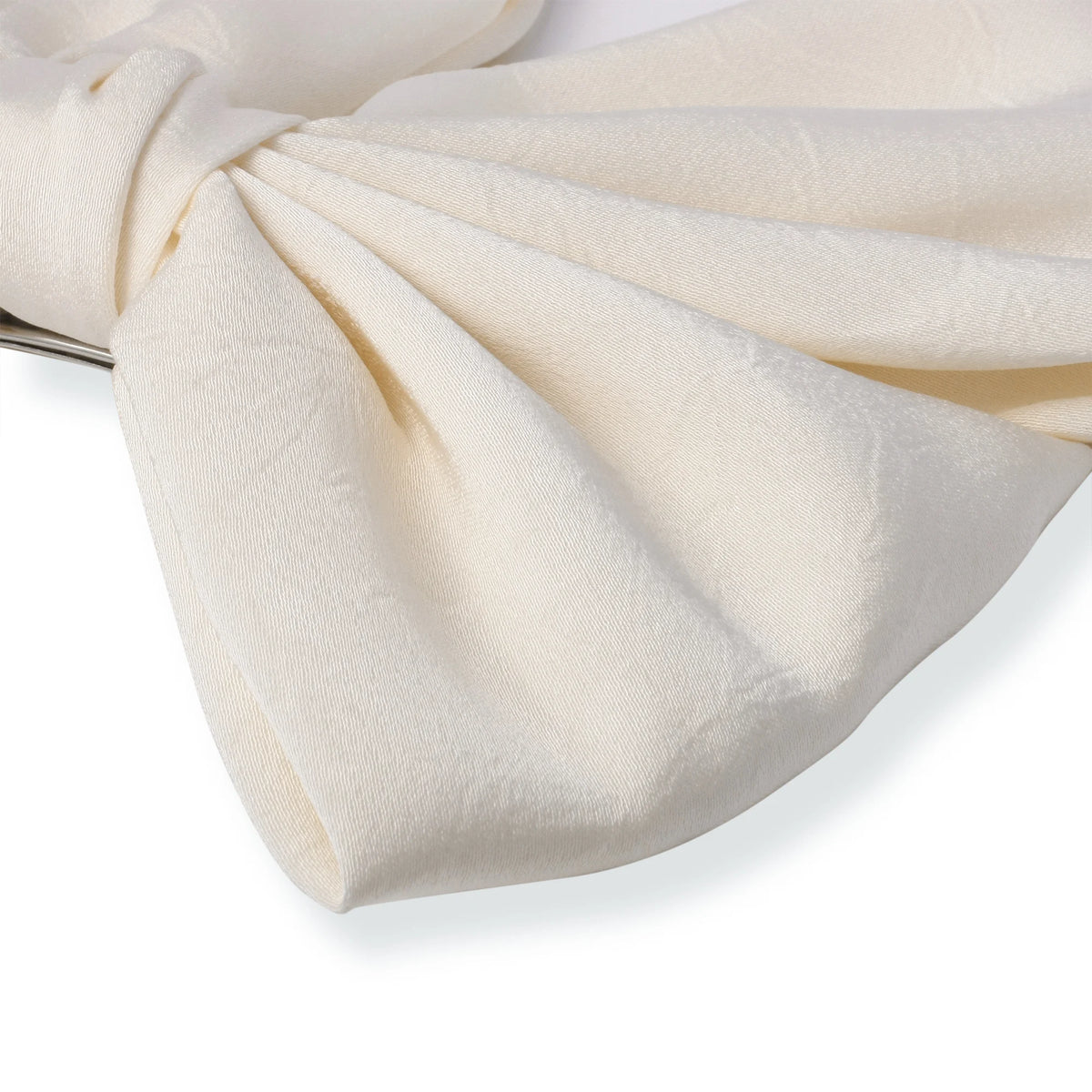 Hair Clip for Women Image