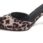 Elegant Heel Shoes for Women Image