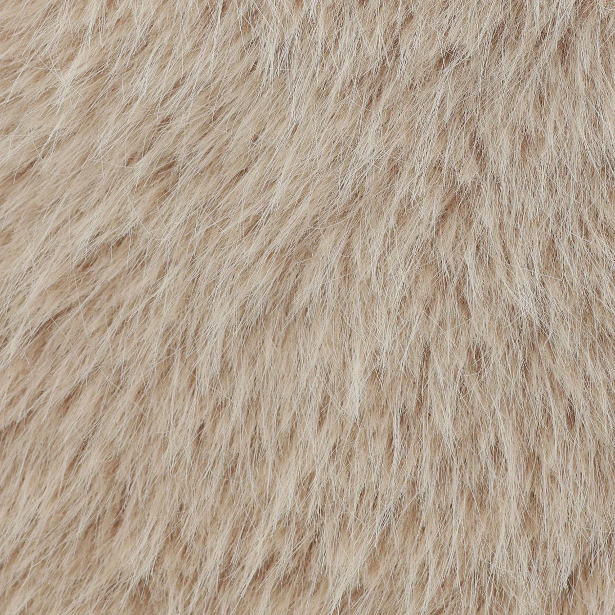 Elegant Jacket for Women Image