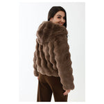 Elegant Jacket for Women Image