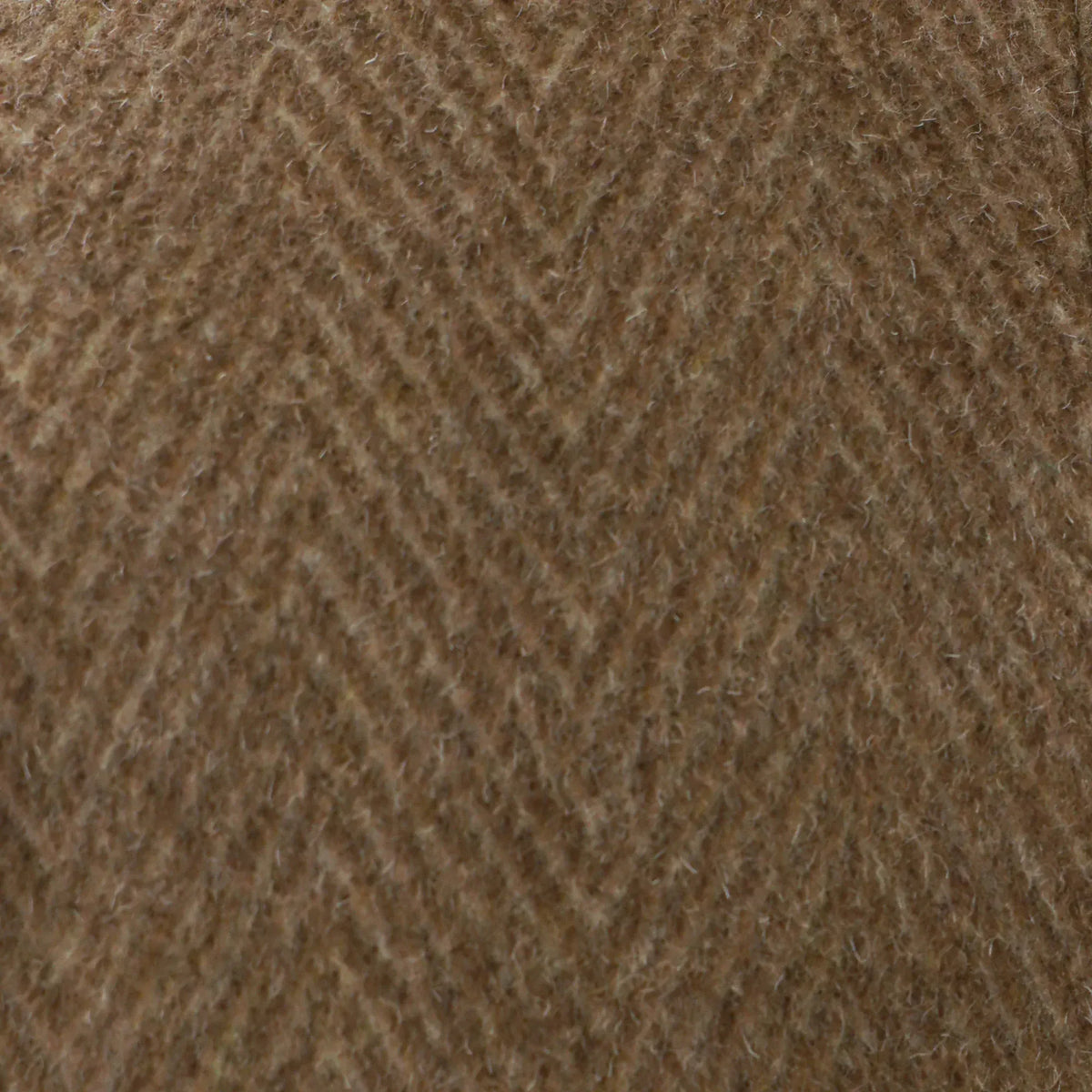 Elegant Solid Jacket for Women Image