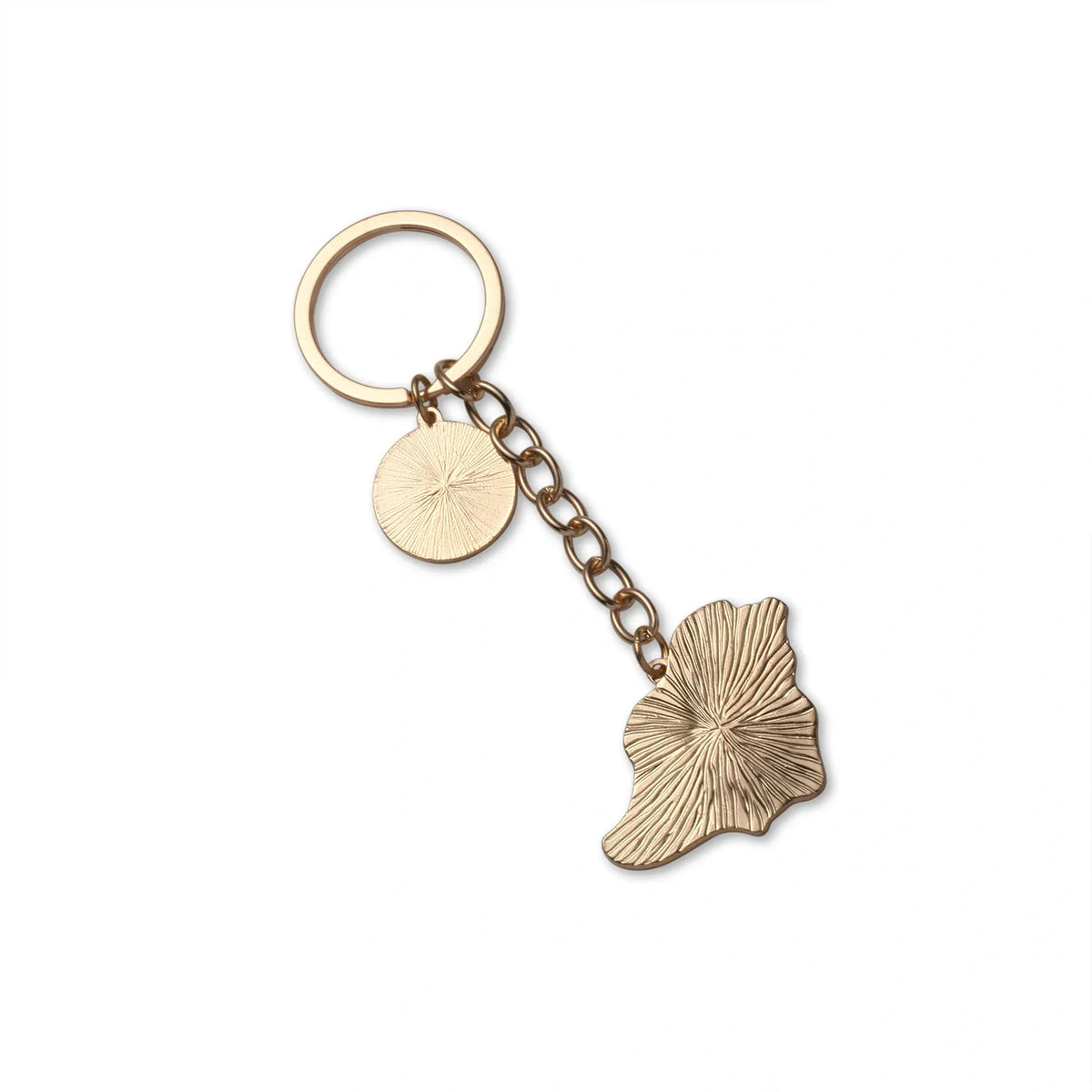 Key Ring Image