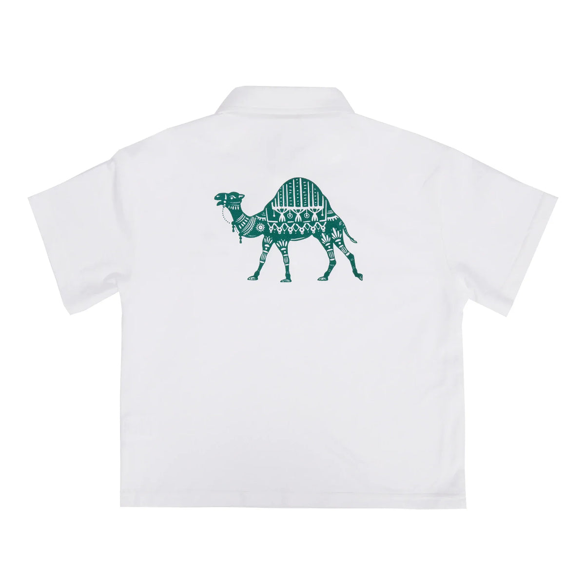 Printed Casual Polo Shirt for Boys Image