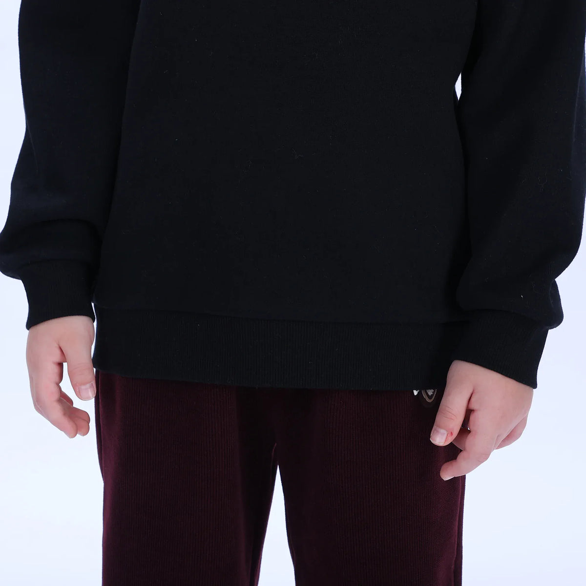 Casual Printed Hoodie for Boys Image