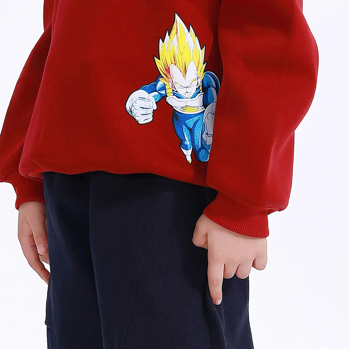 Casual Printed Hoodie for Boys Image