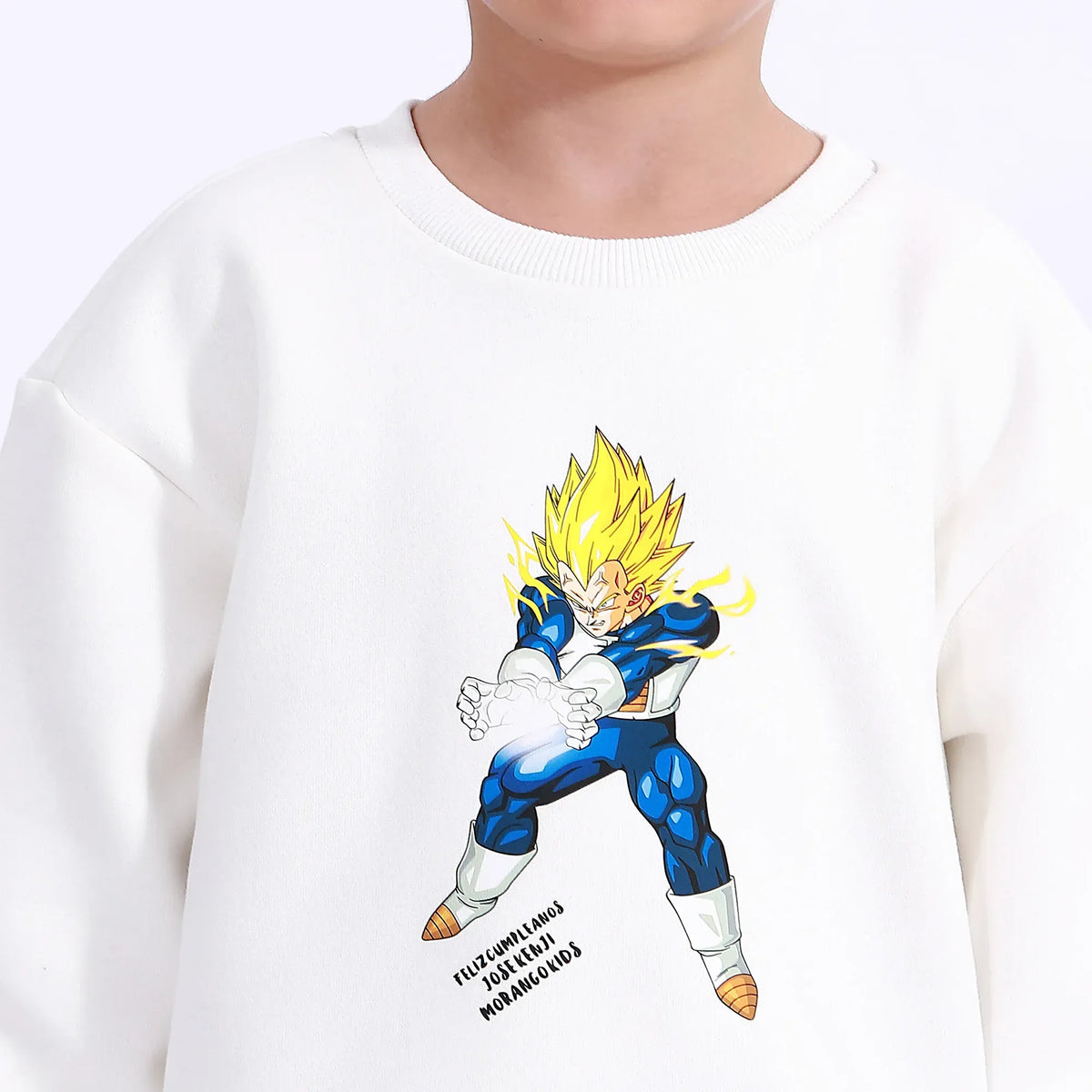 Casual Printed Sweatshirt for Boys Image