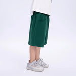 Embroidery Casual Shorts for Boys Image