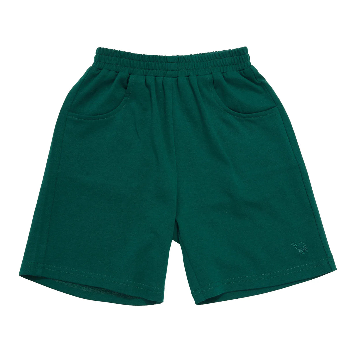 Embroidery Casual Shorts for Boys Image