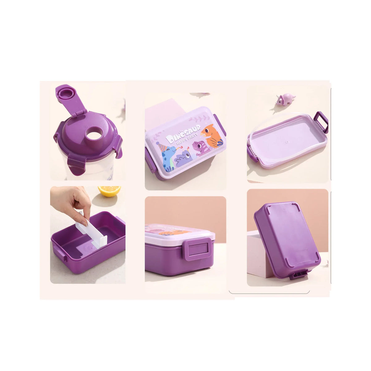 Single Layer Lunch Box+Water Cup Image