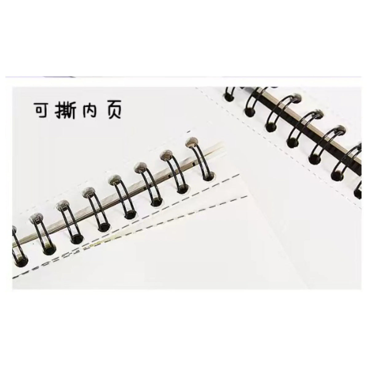 Sketch Book Image