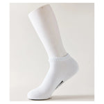 39-44 White Socks for Men Image