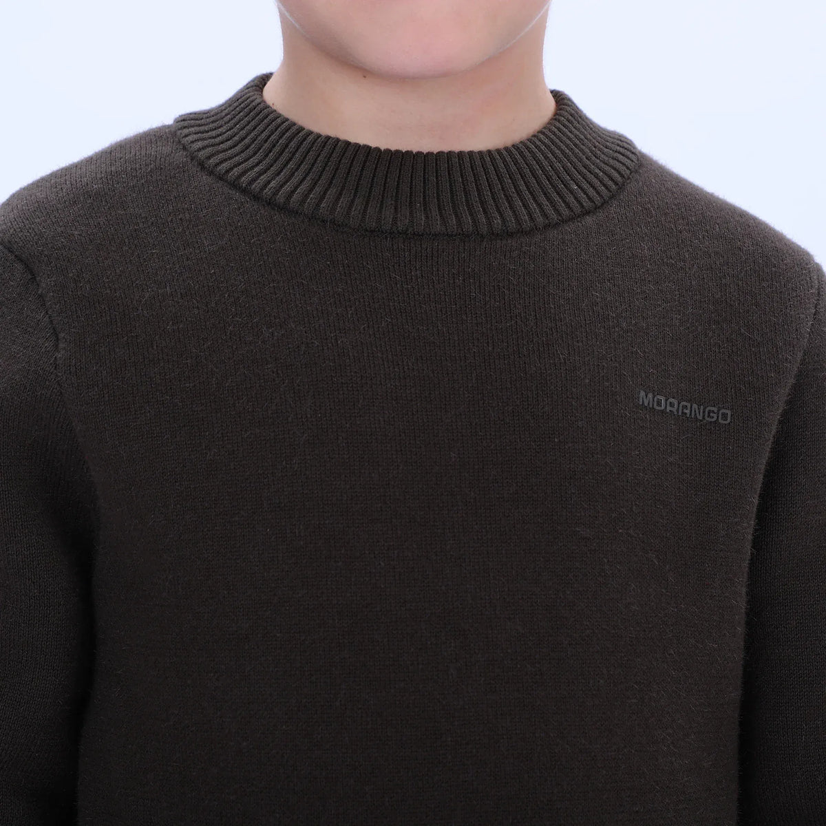 Casual Printed Sweater for Boys Image