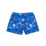 Swimsuit for Boys Image