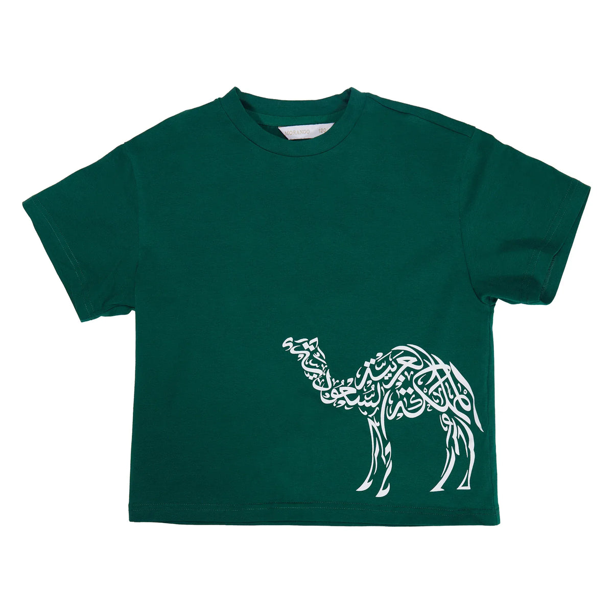 Printed Casual T.Shirt for Boys Image